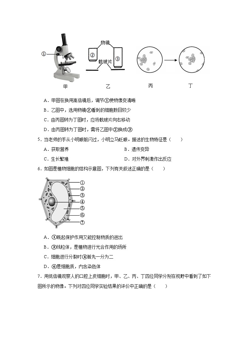 河南省郸城县第六实验中学2024-2025学年七年级上学期期中模拟生物试题第2页