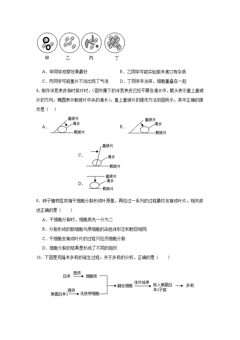 河南省郸城县第六实验中学2024-2025学年七年级上学期期中模拟生物试题第3页