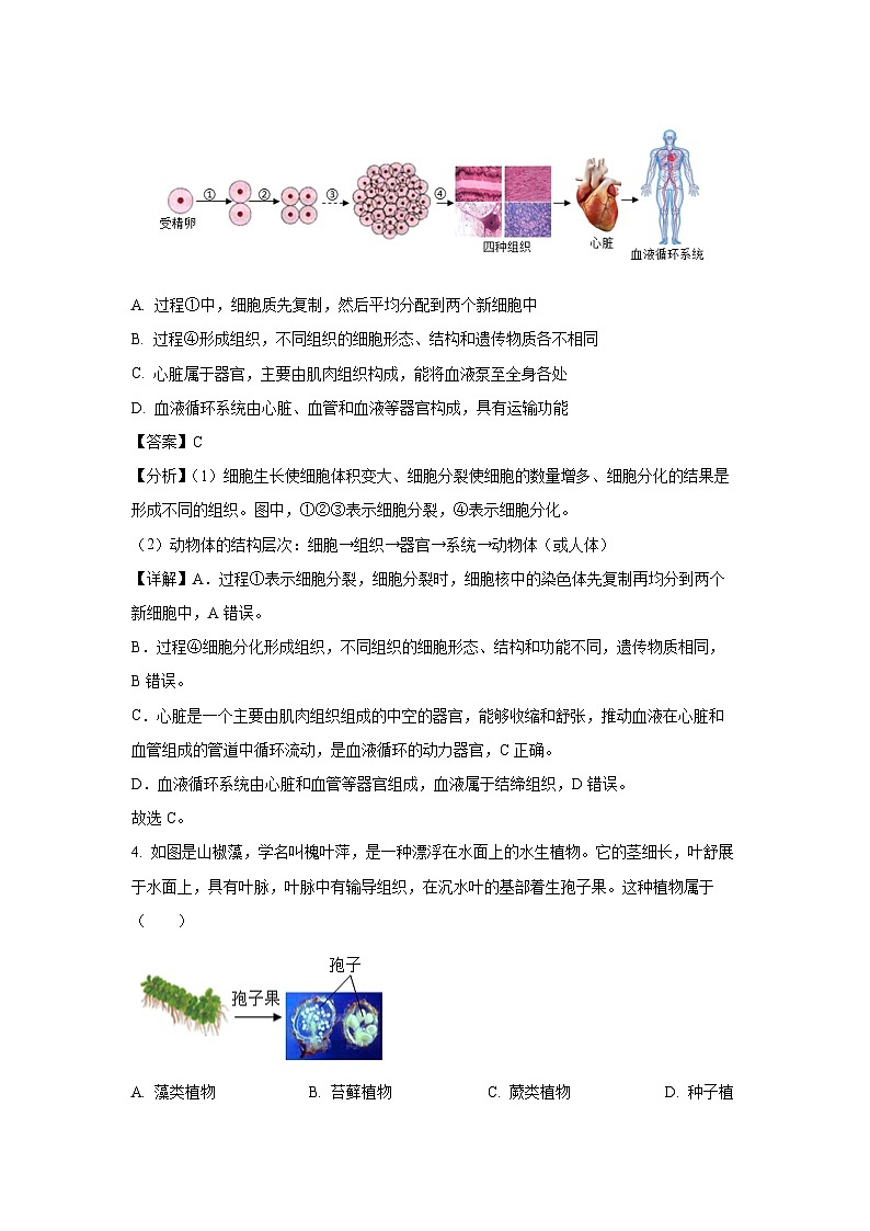 2024年山东省泰安市中考真题生物试卷(解析版)03