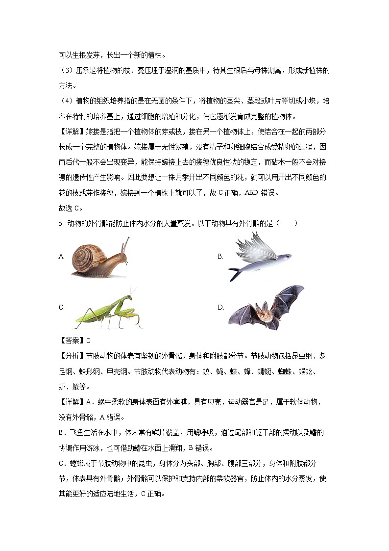 2024年山东省烟台市中考真题生物试卷(解析版)第3页