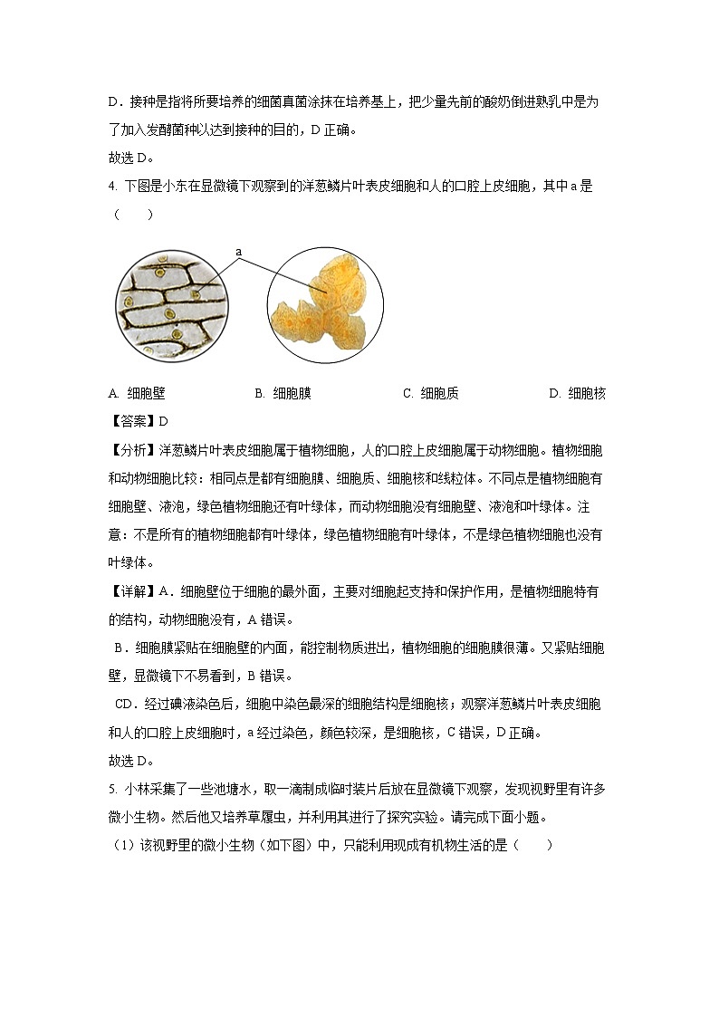 2024年山西省中考真题生物试卷(解析版)03
