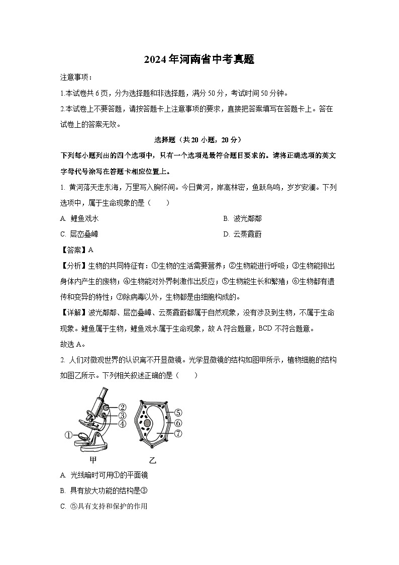 2024年河南省中考真题生物试卷(解析版)01