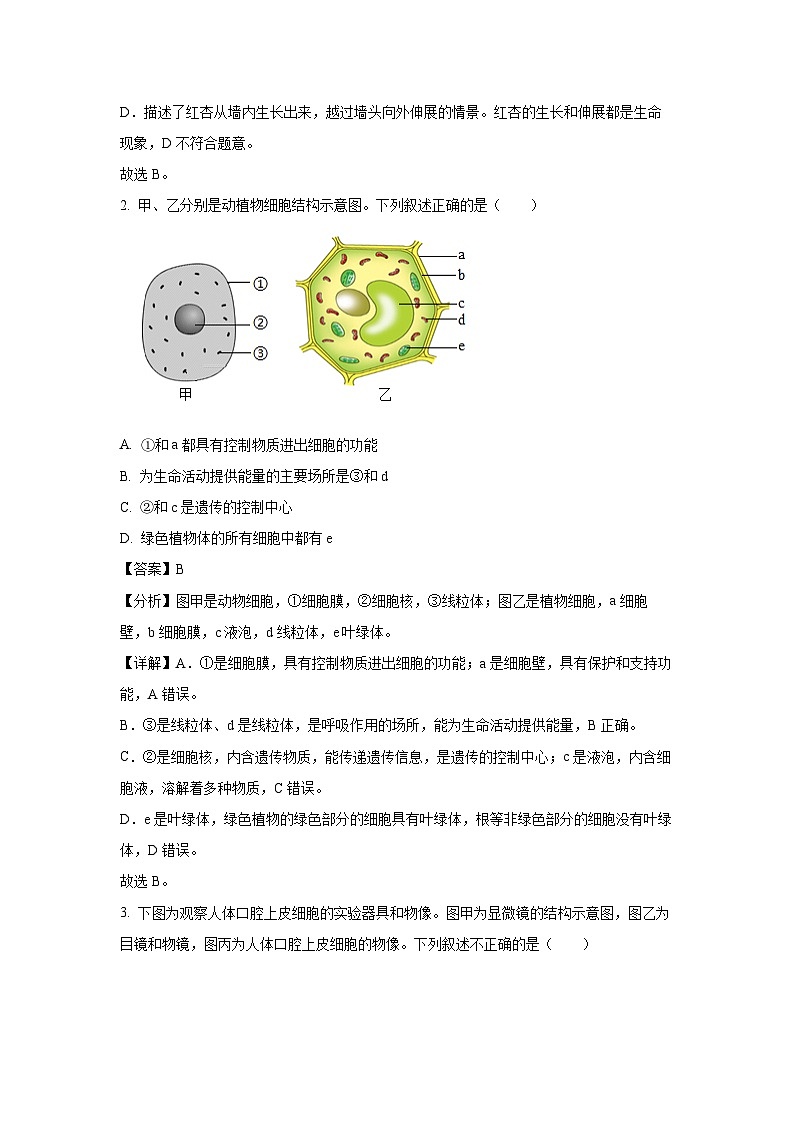 2024年山东省滨州市中考真题生物试卷(解析版)第2页