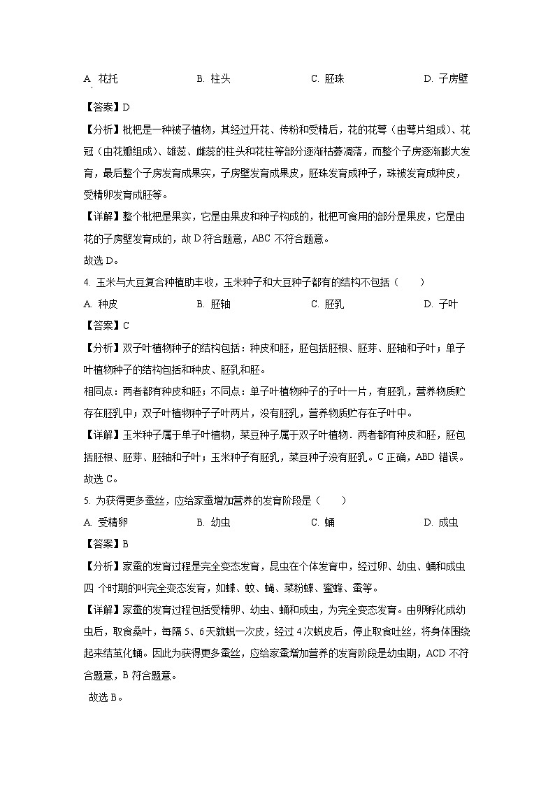 2024年广东省中考真题生物试卷(解析版)第3页