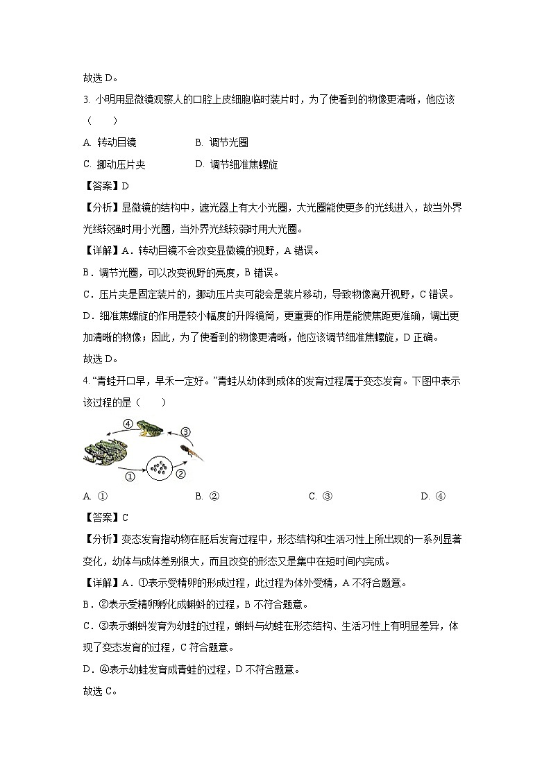 2024年广西中考真题生物试卷(解析版)02