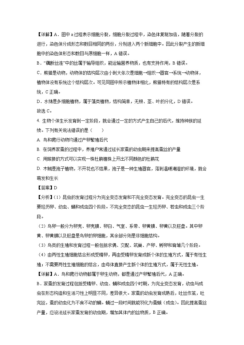 2024年四川省达州市中考真题生物试卷(解析版)第3页
