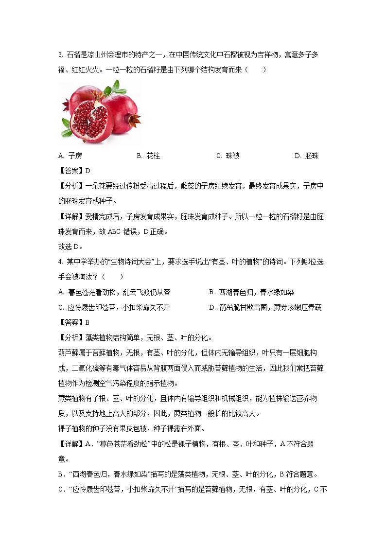 2024年四川省凉山州中考真题生物试卷(解析版)第2页