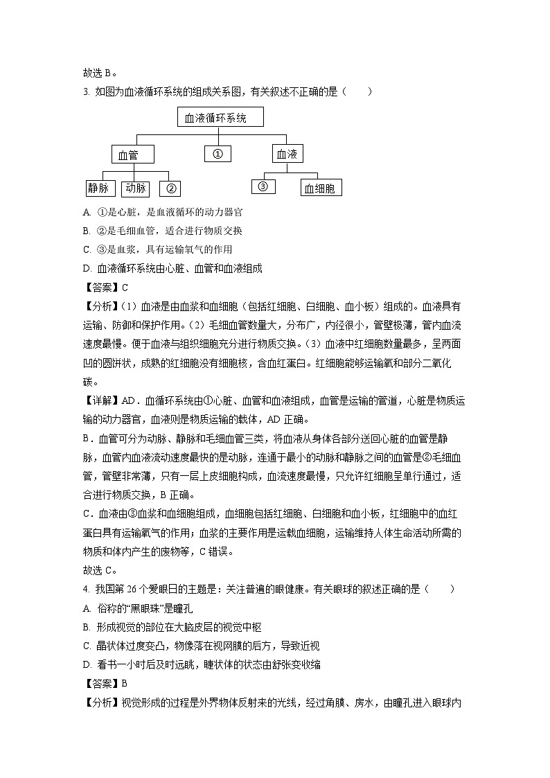 河南省驻马店市确山县2022-2023学年七年级5月月考生物试卷(解析版)第2页