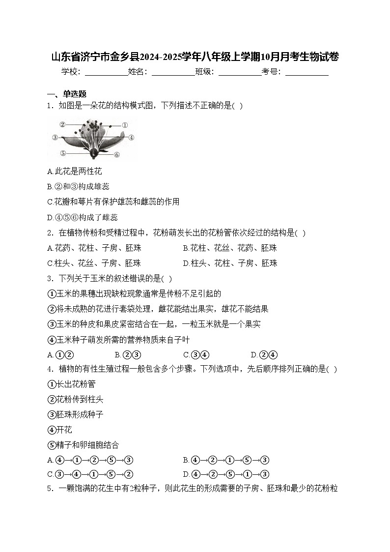 山东省济宁市金乡县2024-2025学年八年级上学期10月月考生物试卷(含答案)第1页