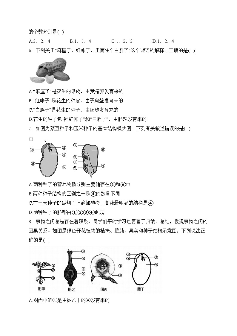 山东省济宁市金乡县2024-2025学年八年级上学期10月月考生物试卷(含答案)第2页