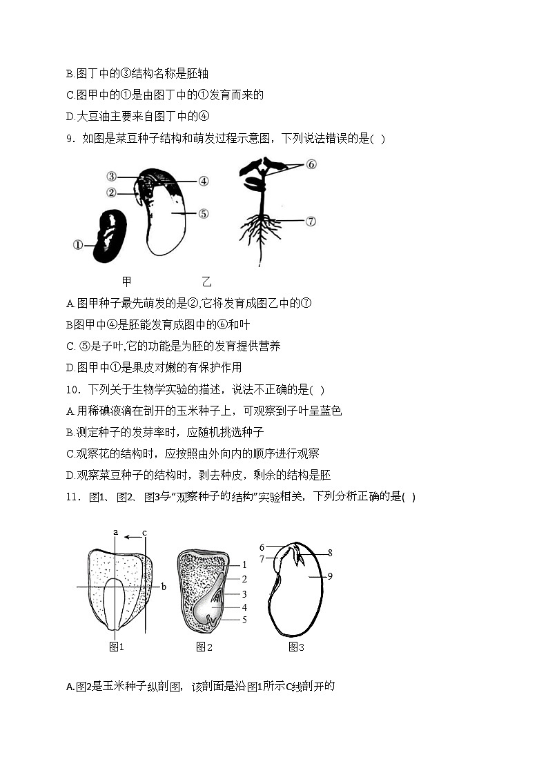 山东省济宁市金乡县2024-2025学年八年级上学期10月月考生物试卷(含答案)第3页