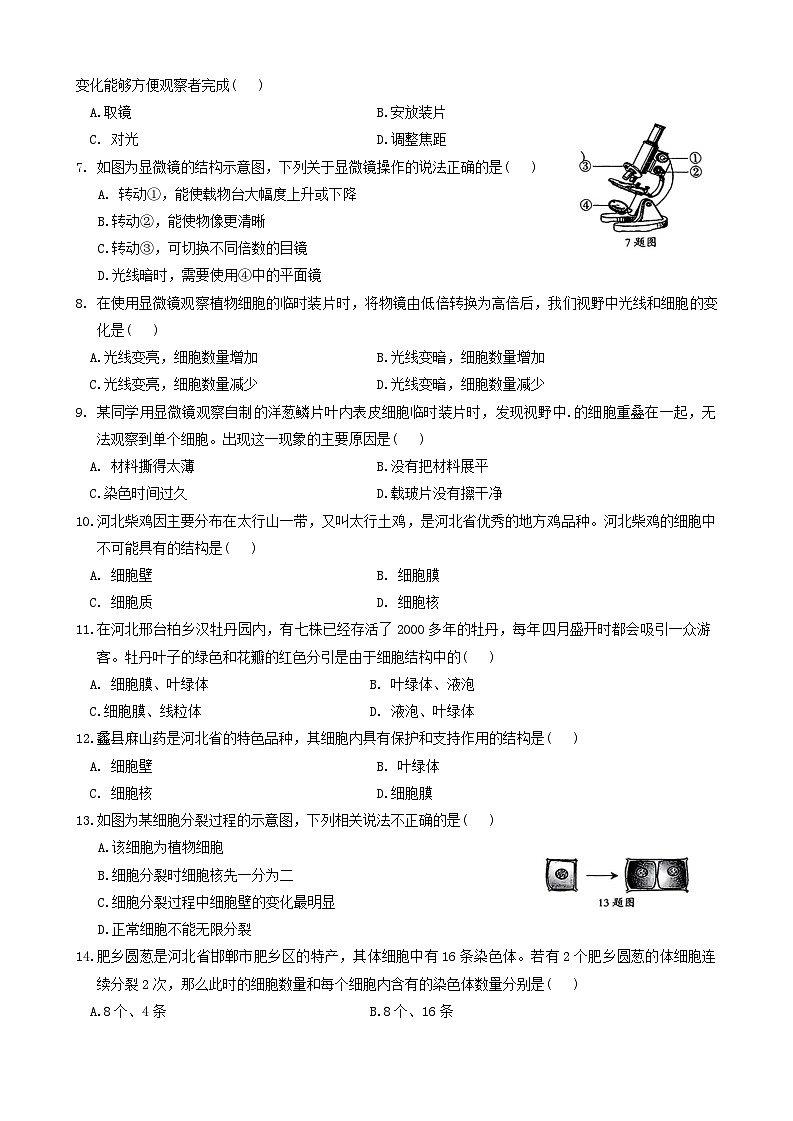 河北省唐山市滦州市2024-2025学年七年级上学期11月份期中考试生物试题02