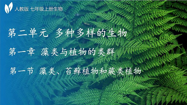 人教版七年级生物上册2.1.1《藻类、苔藓植物和蕨类植物》（课件）第1页