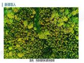 人教版七年级生物上册2.1.1《藻类、苔藓植物和蕨类植物》（课件）