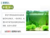 人教版七年级生物上册2.1.1《藻类、苔藓植物和蕨类植物》（课件）