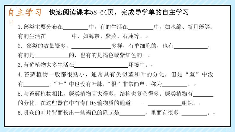 人教版生物七年级上册2.1.1《藻类、苔藓植物和蕨类植物》（教学课件）第3页