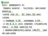 人教版生物七年级上册2.1.1《藻类、苔藓植物和蕨类植物》课件