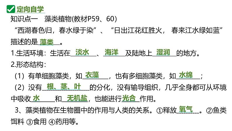 人教版生物七年级上册2.1.1《藻类、苔藓植物和蕨类植物》课件第4页