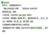人教版生物七年级上册2.1.1《藻类、苔藓植物和蕨类植物》课件