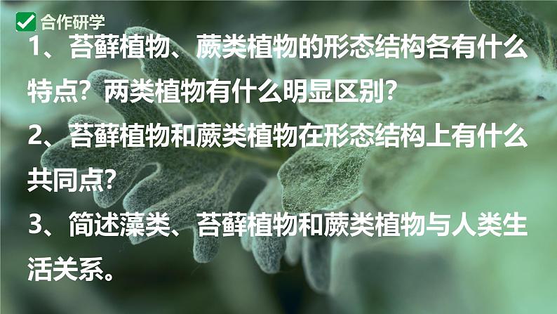 人教版生物七年级上册2.1.1《藻类、苔藓植物和蕨类植物》课件第7页