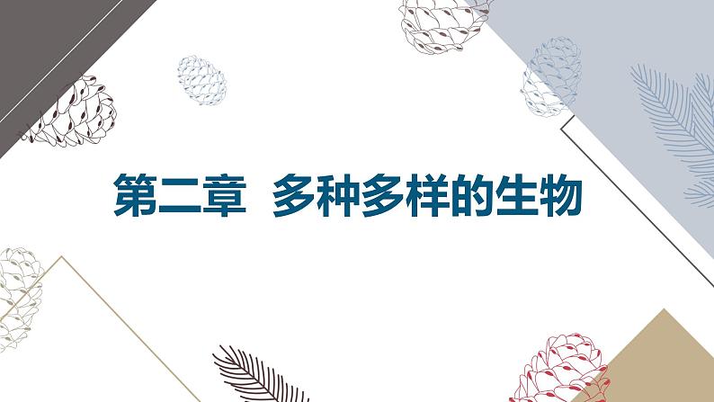 人教版生物七年级上册2.1.1《藻类与苔藓植物和蕨类植物》课件第1页