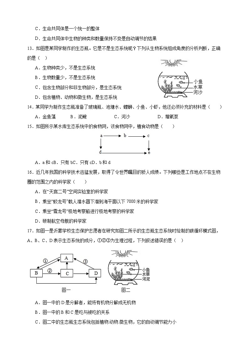 第3章《生态系统和生物圈》-2024-2025学年七年级生物上册单元测试卷（苏科版2024）第3页