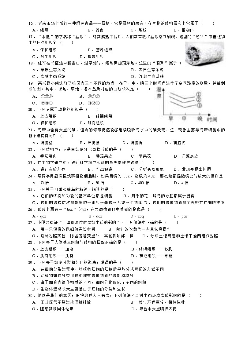 北师大版（2024新版）七年级上册生物期中模拟测试卷（含答案）第2页