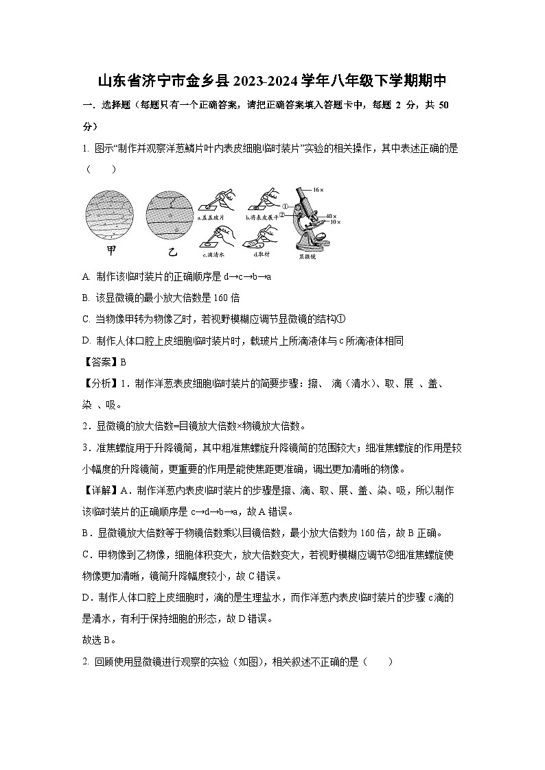 山东省济宁市金乡县2023-2024学年八年级下学期期中生物试卷(解析版)第1页
