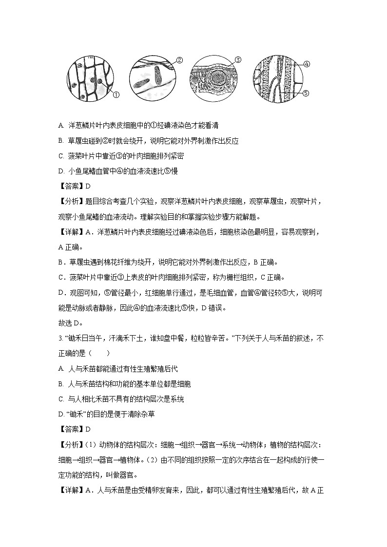 山东省济宁市金乡县2023-2024学年八年级下学期期中生物试卷(解析版)第2页