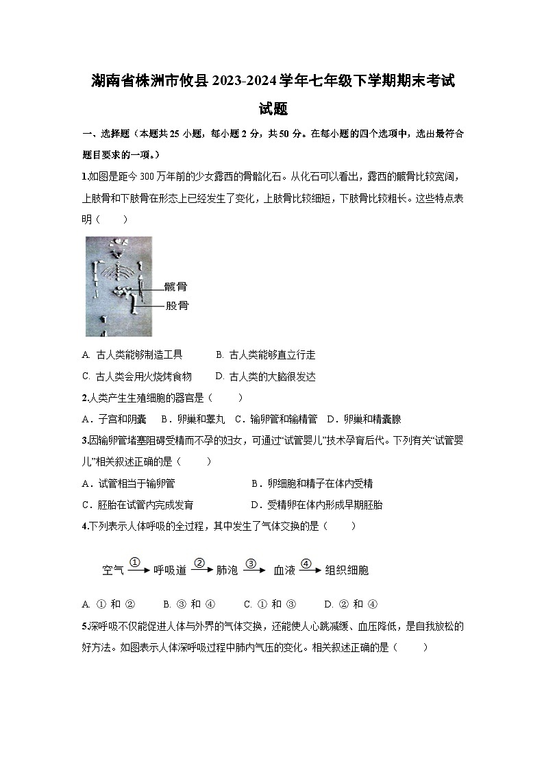 湖南省株洲市攸县2023-2024学年七年级下学期期末考试生物试卷第1页