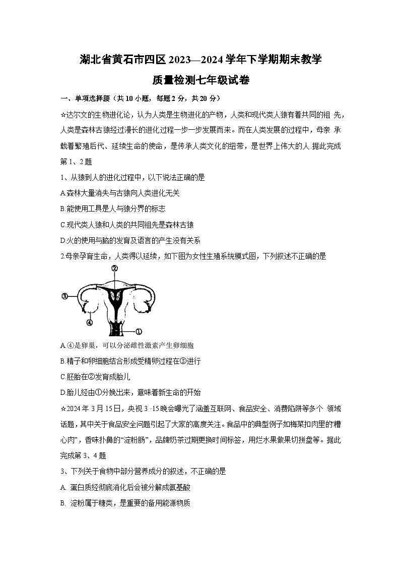 湖北省黄石市四区2023—2024学年下学期期末教学质量检测七年级生物试卷第1页