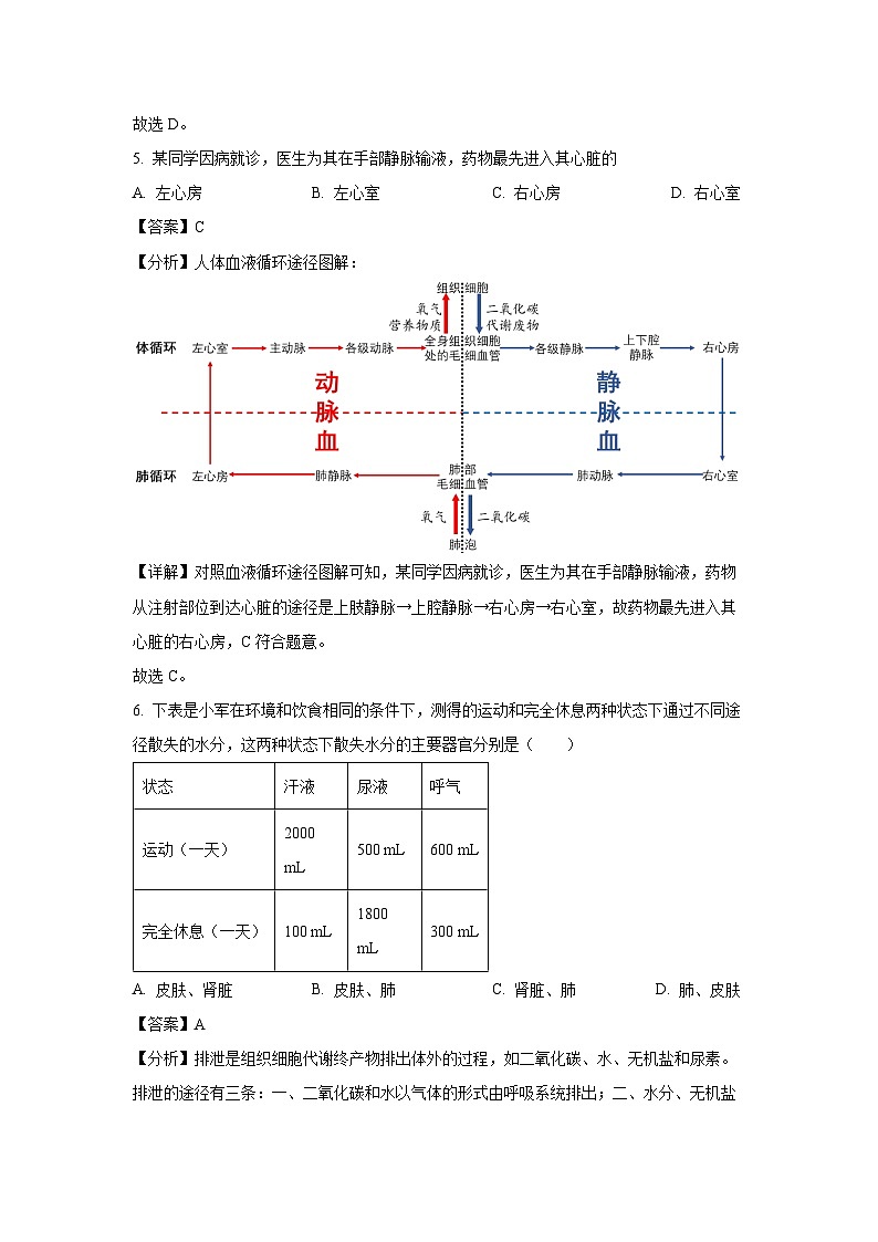 江苏省徐州市丰县2023-2024学年八年级上学期期中生物试卷(解析版)第3页