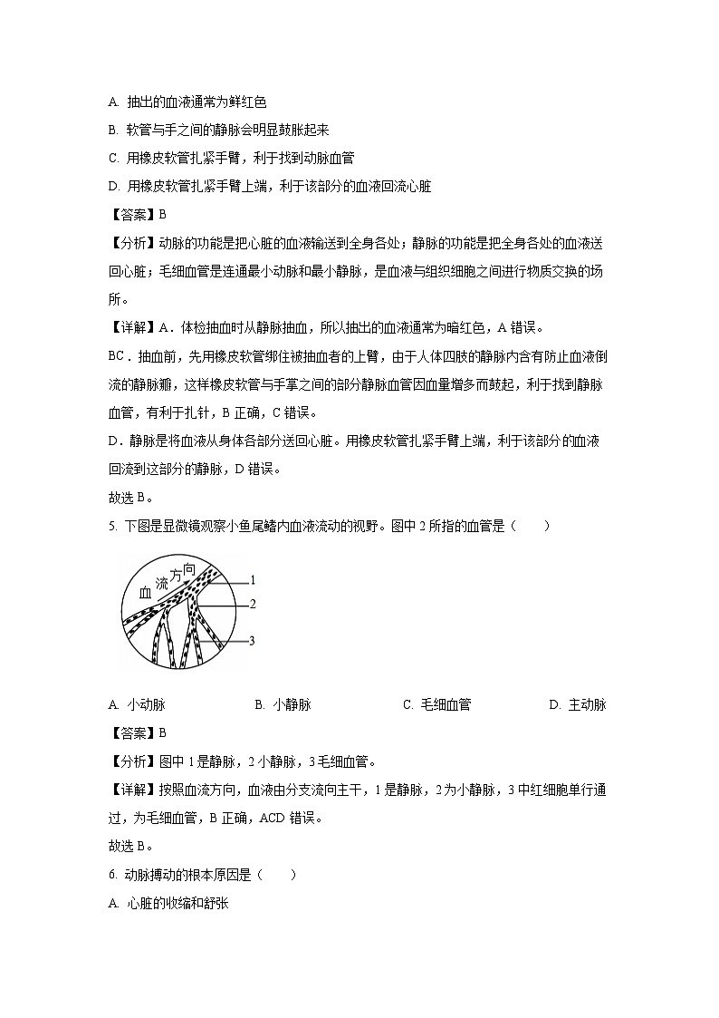 江苏省徐州市铜山区2023-2024学年八年级上学期期中质量自测生物试卷(解析版)第3页