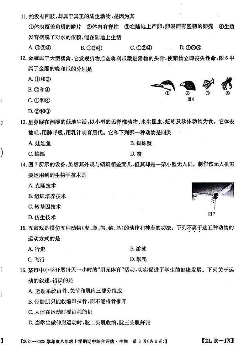 江西省九江市武宁县2024-2025学年八年级上学期期中综合评估生物试题03
