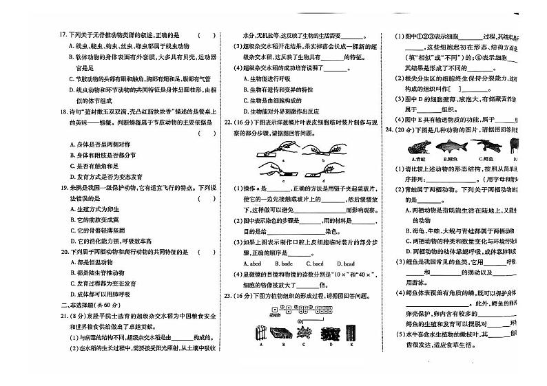吉林省白山市2024~2025学年七年级上学期期中测试生物试卷第2页