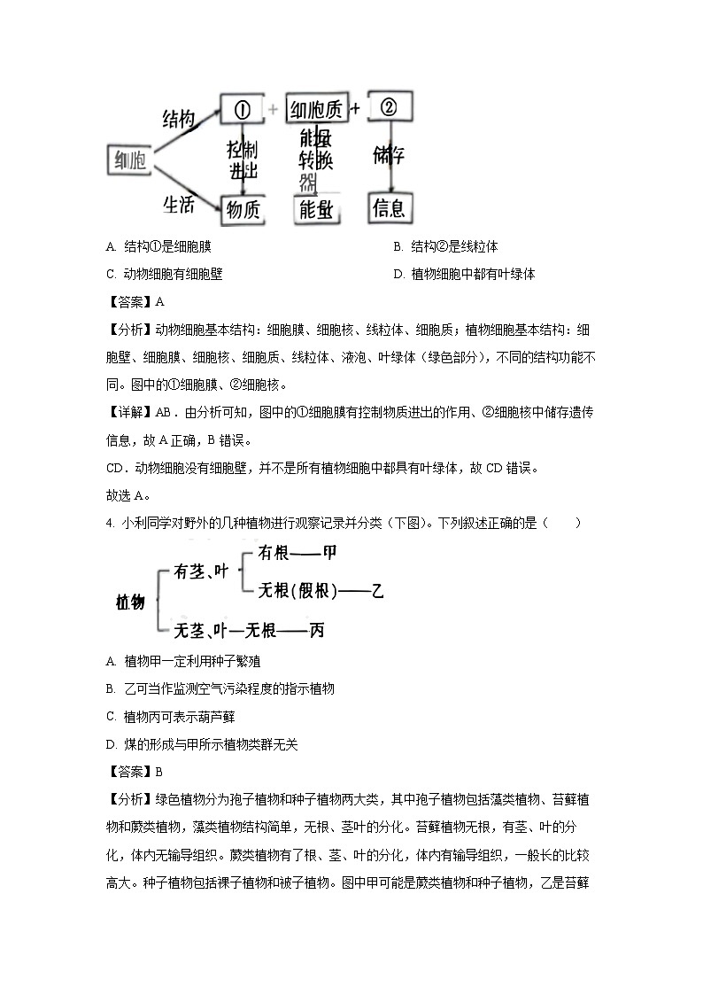 2024年江西省九江市永修县中考二模生物试卷(解析版)第2页