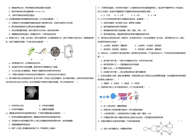 2024-2025学年七年级上学期期中考试生物试题第2页