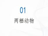 2.2.2 脊椎动物（第2课时 两栖动物和爬行动物）-初中生物七年级上册 同步教学课件+教学设计（人教版2024）