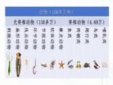 2.2.2 脊椎动物（第1课时 鱼）-初中生物七年级上册 同步教学课件+教学设计（人教版2024）