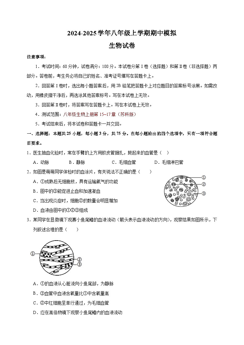 2024-2025学年八年级上学期生物期中模拟试卷（苏科版+含答案解析）第1页