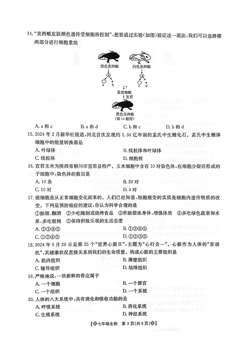 陕西省西安市莲湖区2024-2025学年度第一学期期中统考七年级生物 试题第3页