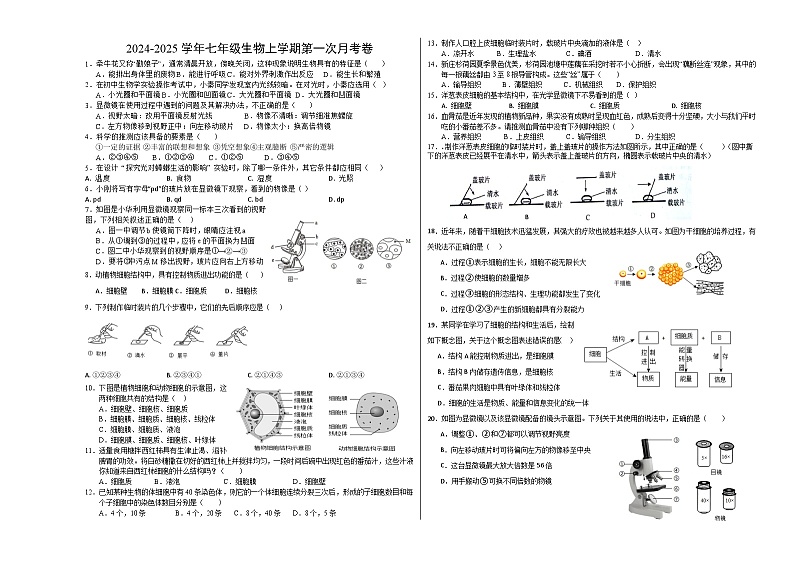 山东省菏泽市郓城一中2024-2025学年七年级上学期第一次月考生物试题01