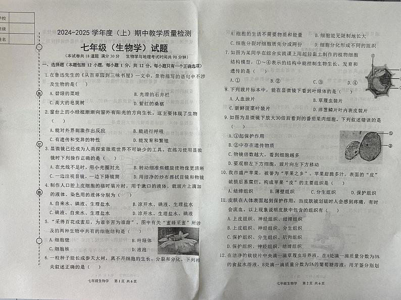 辽宁省营口市2024-2025学年七年级上学期11月期中生物试题01