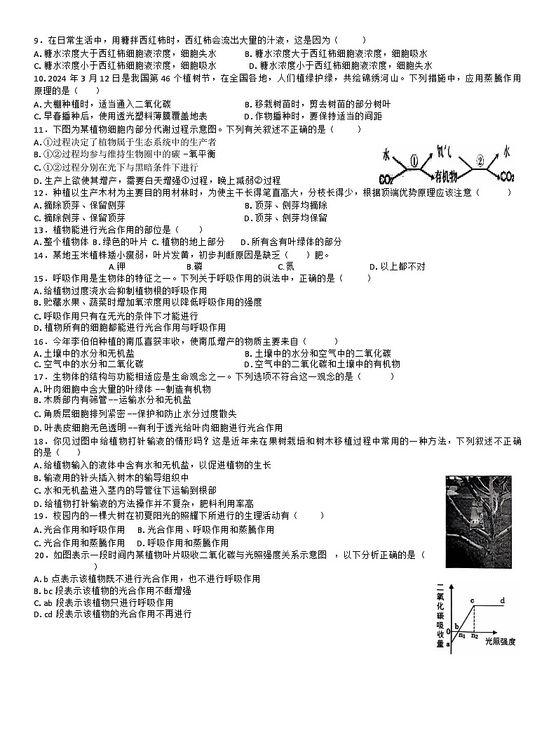 江西省宜春市高安市2024-2025学年八年级上学期11月期中生物试题02