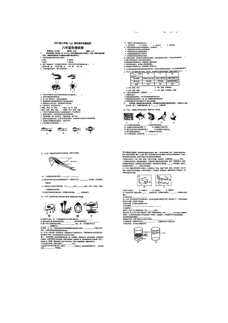 辽宁省丹东市第十三中学2024-2025学年八年级上学期11月期中生物试题第1页