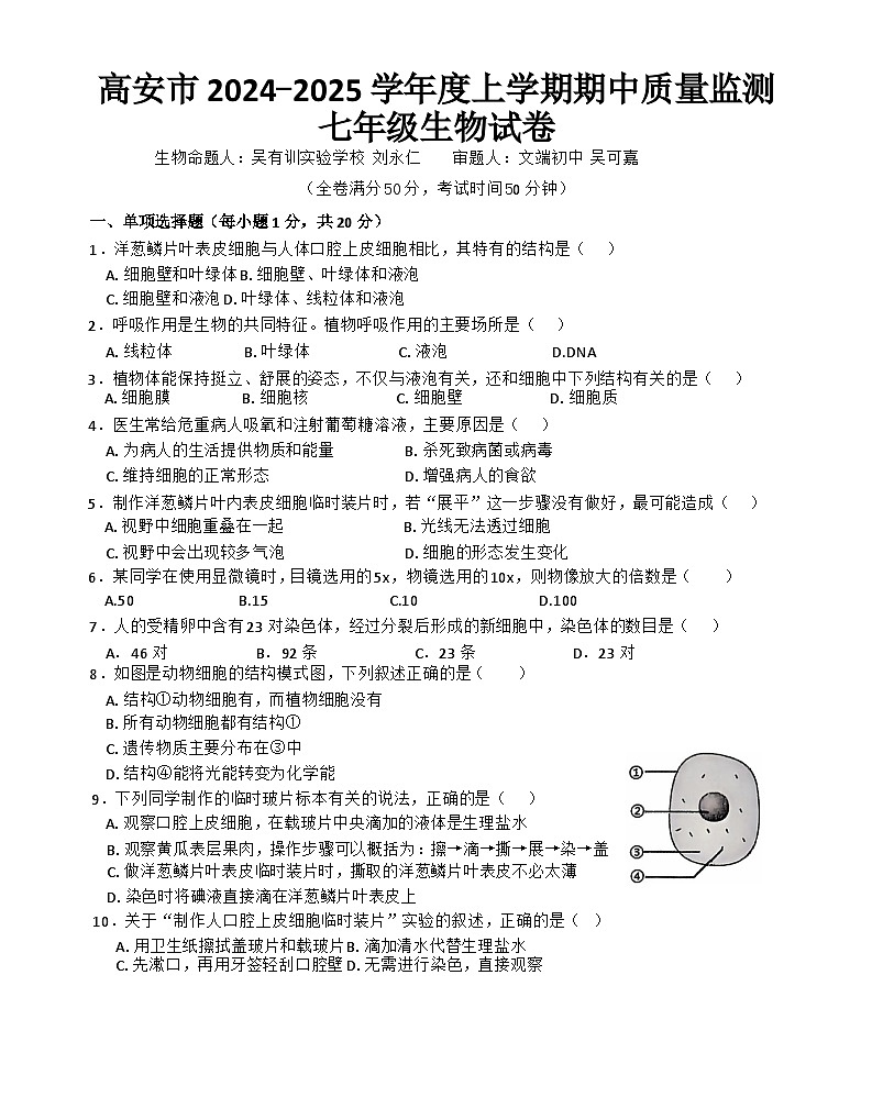 高安市2024-2025学年度上学期期中质量监测七年级生物试卷第1页