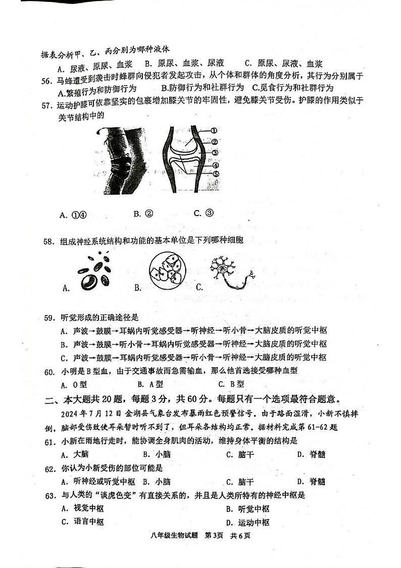 江苏省淮安市金湖县2024-2025学年八年级上学期期中学业水平测试生物试题第3页