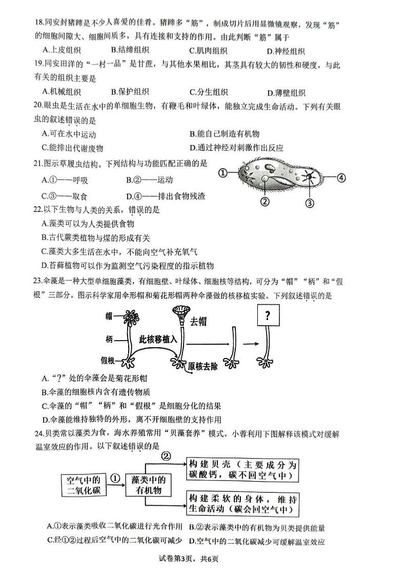 福建省厦门市同安区2024-2025学年七年级上学期11月期中生物试题03