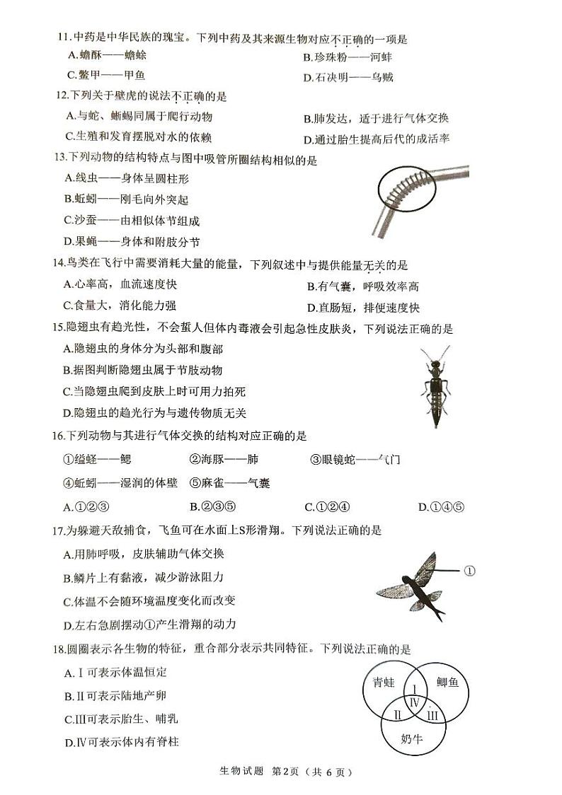 福建省厦门市同安区2024-2025学年八年级上学期11月期中生物试题02