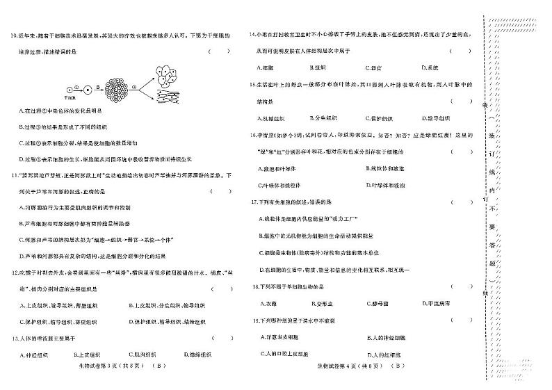 黑龙江省佳木斯市2024-2025学年七年级上学期11月期中生物试题第2页